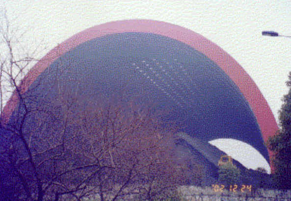 Space frame dry coal shed of a power plant